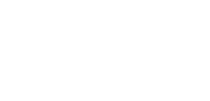 Digital 781 White Logo